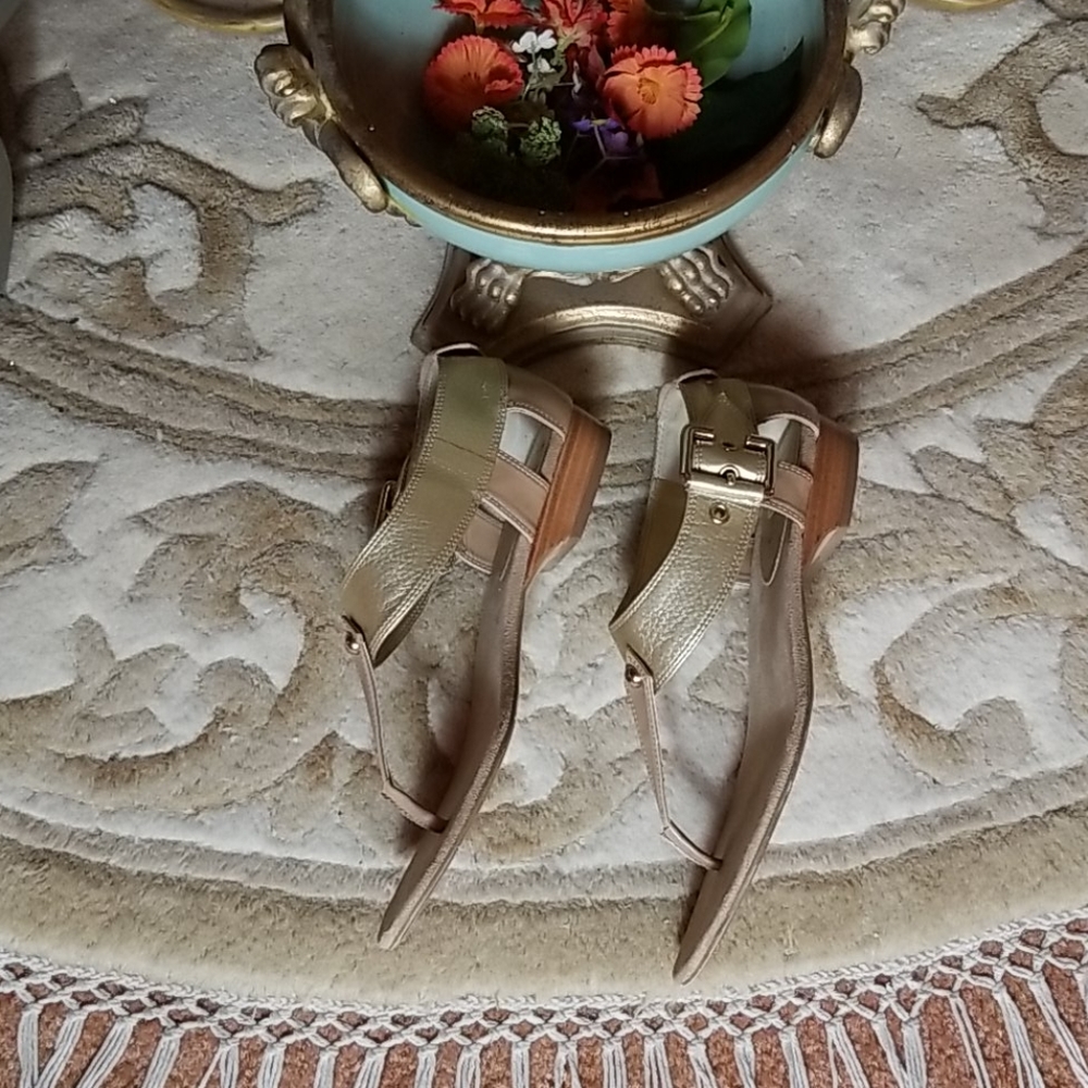 Boutique 9 Tan Thong Sandals